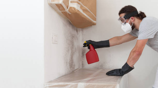 Professional Mold Remediation technician working in Fischer, TX
